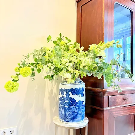 History And Luxury Apartman